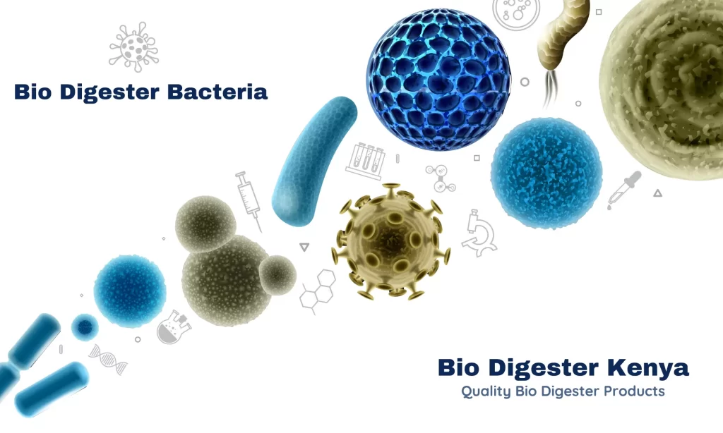How Bio Digester EnzymesBacteriaAnaerobic Bacteria Work - Bio Digester Kenya