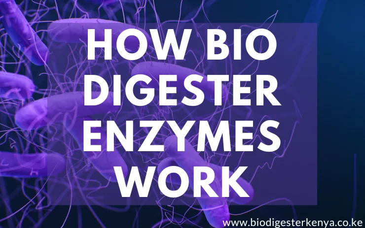 How Bio Digester Enzymes Work - BioDigesterKenya.co.ke