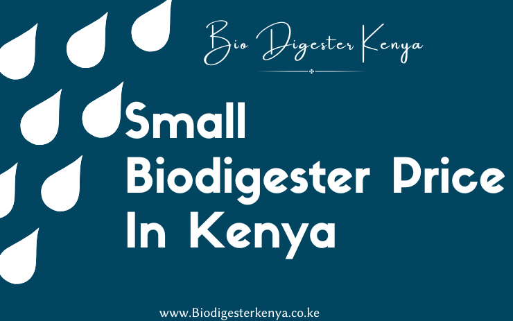 Small Biodigester Price In Kenya